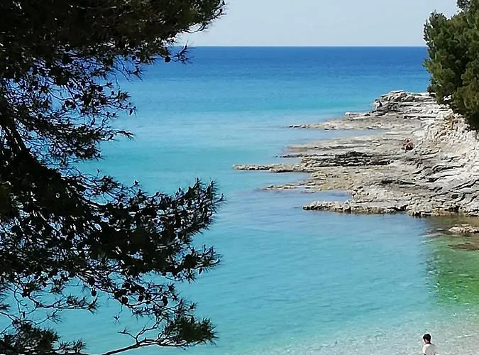Jadranka Pula