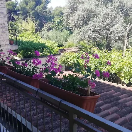 Apartman Jadranka Póla